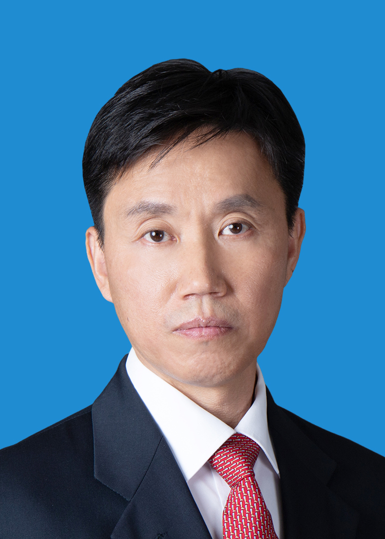 Mr. WANG Tielin